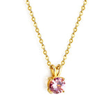 Stainless Steel Waterproof Necklace