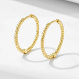 S925 Sterling Silver Solid Twist Rope Earrings New and New Style Personality Simple K Gold Plated Light Luxury Ins Style Women's Earrings